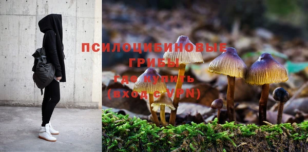 гашиш Алексеевка