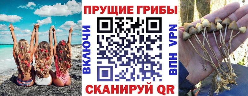 Псилоцибиновые грибы GOLDEN TEACHER  Нижний Тагил 