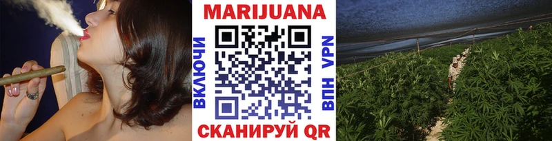 Бошки Шишки план  Нижний Тагил 